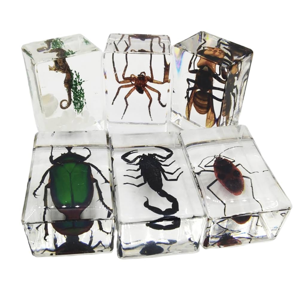 [ラストサマーセール❗️]昆虫標本コレクション まとめ売り4点セット ラストサマーセール❗️]昆虫標本コレクション まとめ売り4点