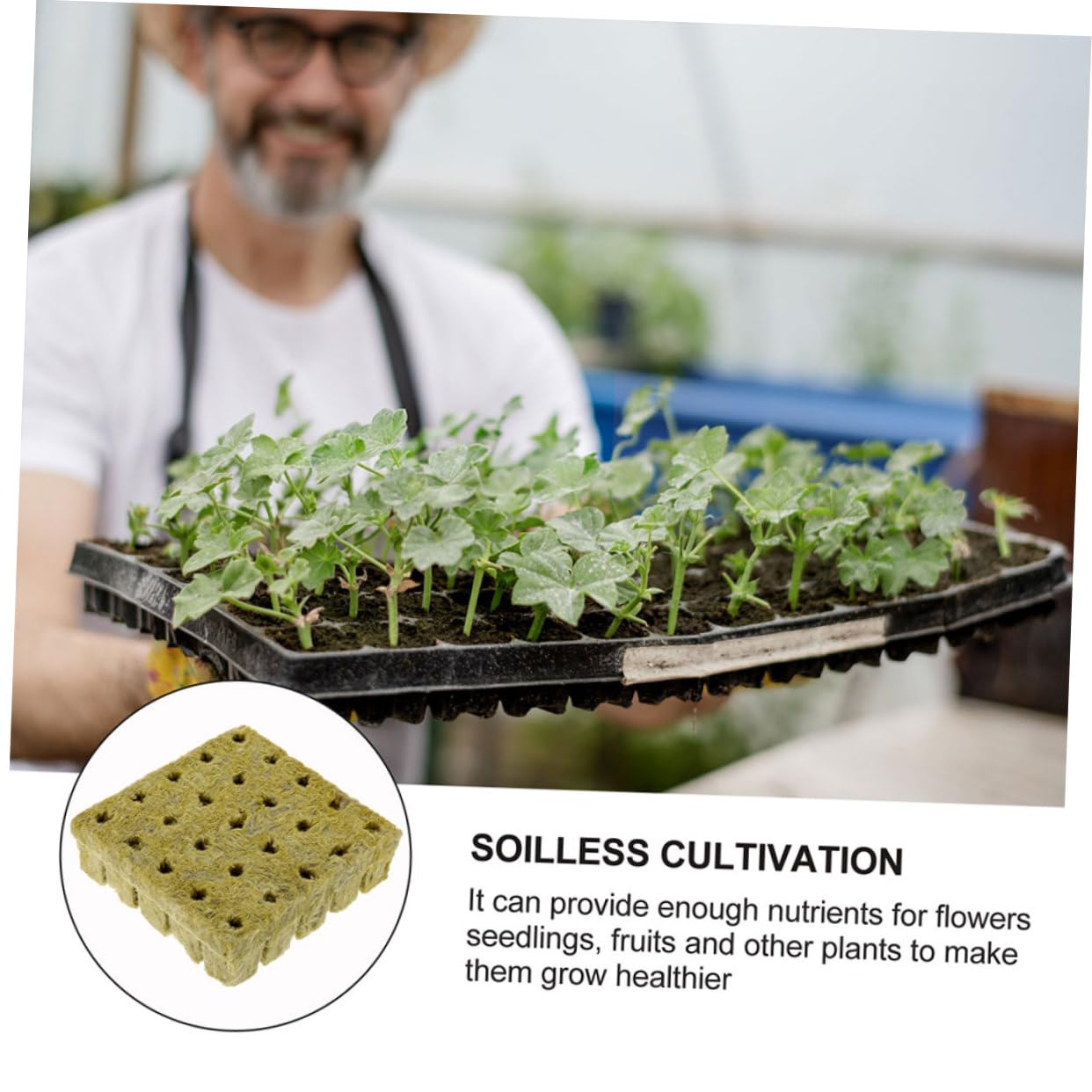 TOYANDONA 2 Series Cubos De Hidropónicos Bloques De Propagación para Jardinería Material Seguro Y Transpirable para Iniciación De Plantas Y Esquejes 50 Piezas*2