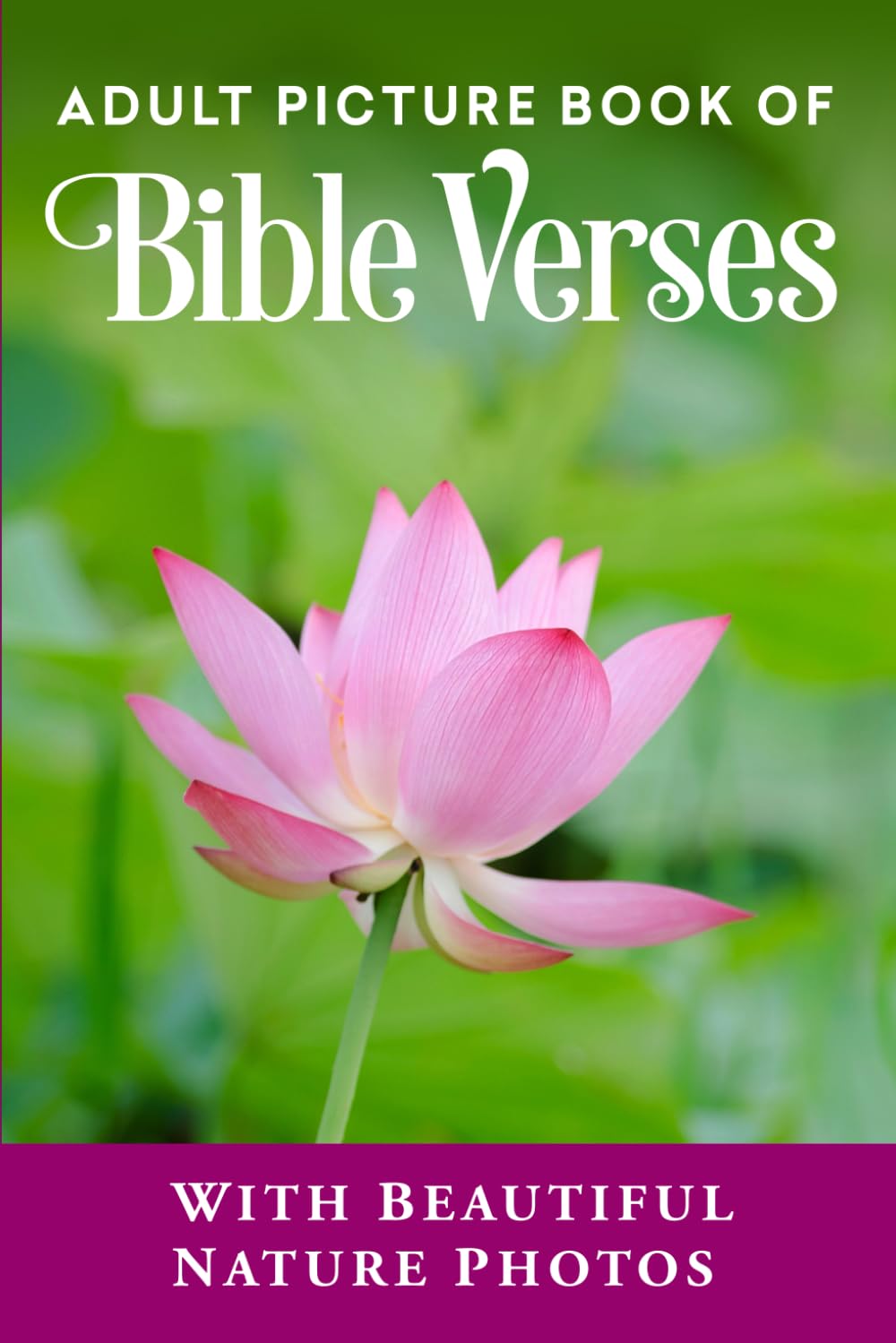 Adult Picture Book of Bible Verses: With Beautiful Nature Photos: 2 (Christian Books for Seniors with Dementia)