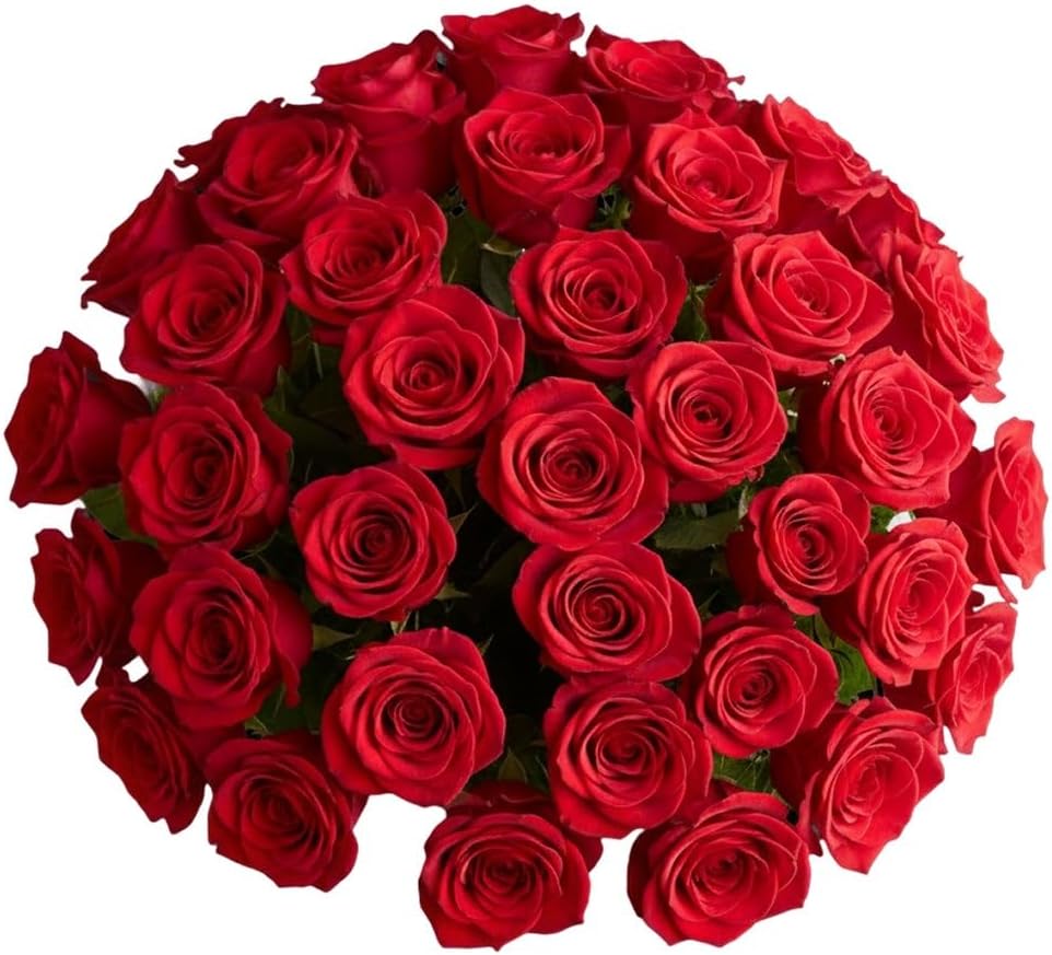 1800 Flowers – 48 Stem Red Roses (Bouquet Only) | Bulk Fresh Cut Flowers for Delivery | Ideal for Mother's Day Gatherings, DIY, Decor, Centerpieces, Weddings & Parties