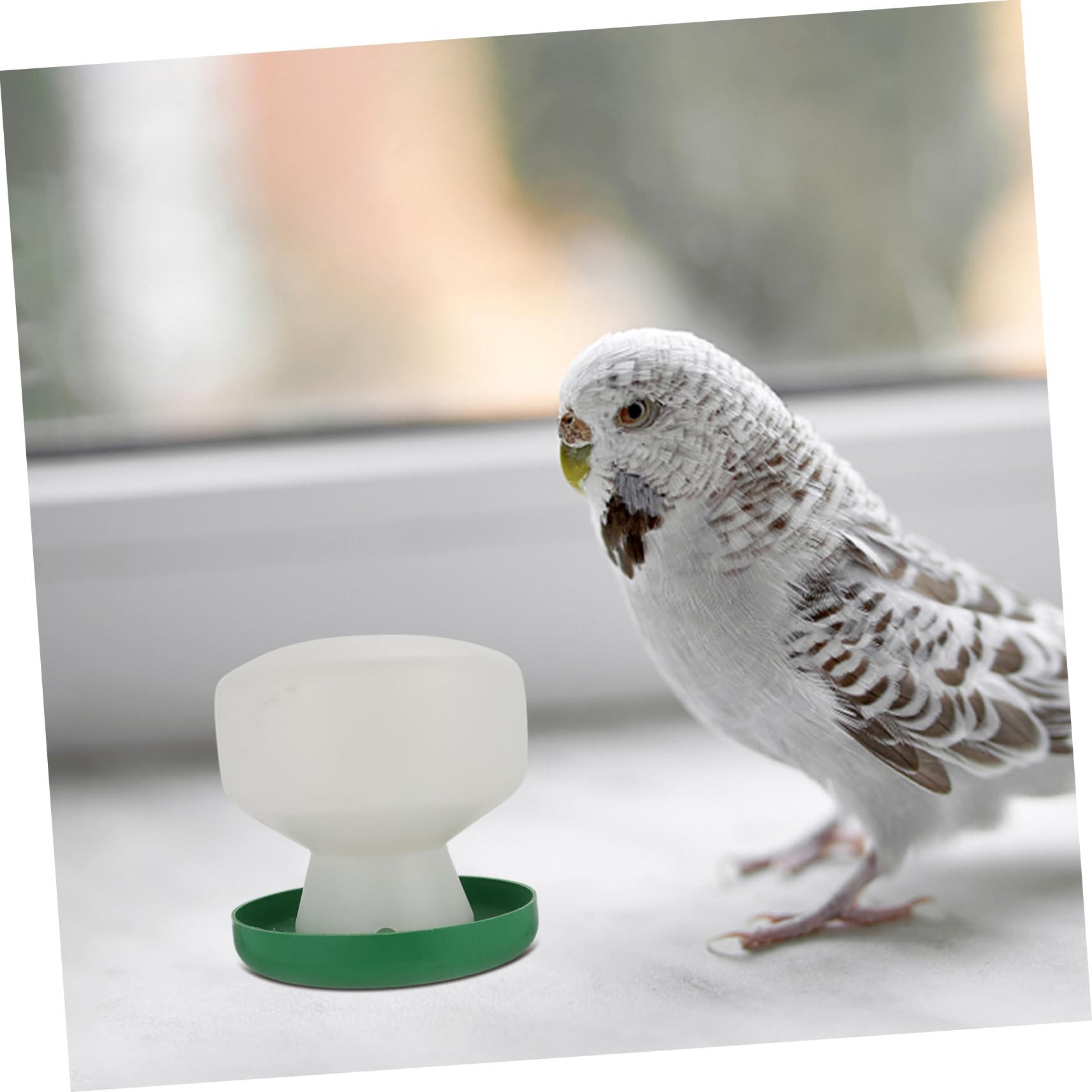 YARNOW 6pezzi Mangiatoia Per Distributore Per Pappagalli e Domestici Accessori Per Gabbie Design Antiribaltamento e Resistente