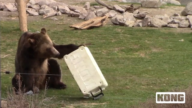 Dr.KOOL！KOOLクールペンギン激レア！アドバタイジング　アド物USA極美 8mg – JTeXpress