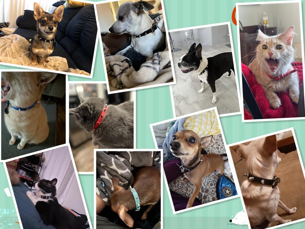 Blue Spiked Dog Collar For Medium Dogs PU Leather Rivet Spike Puppy Collar Studded Kitten Cat Collars Adjustable Buckle For Small Medium Breed Pets Like Chihuahua French Bulldog - Image 3