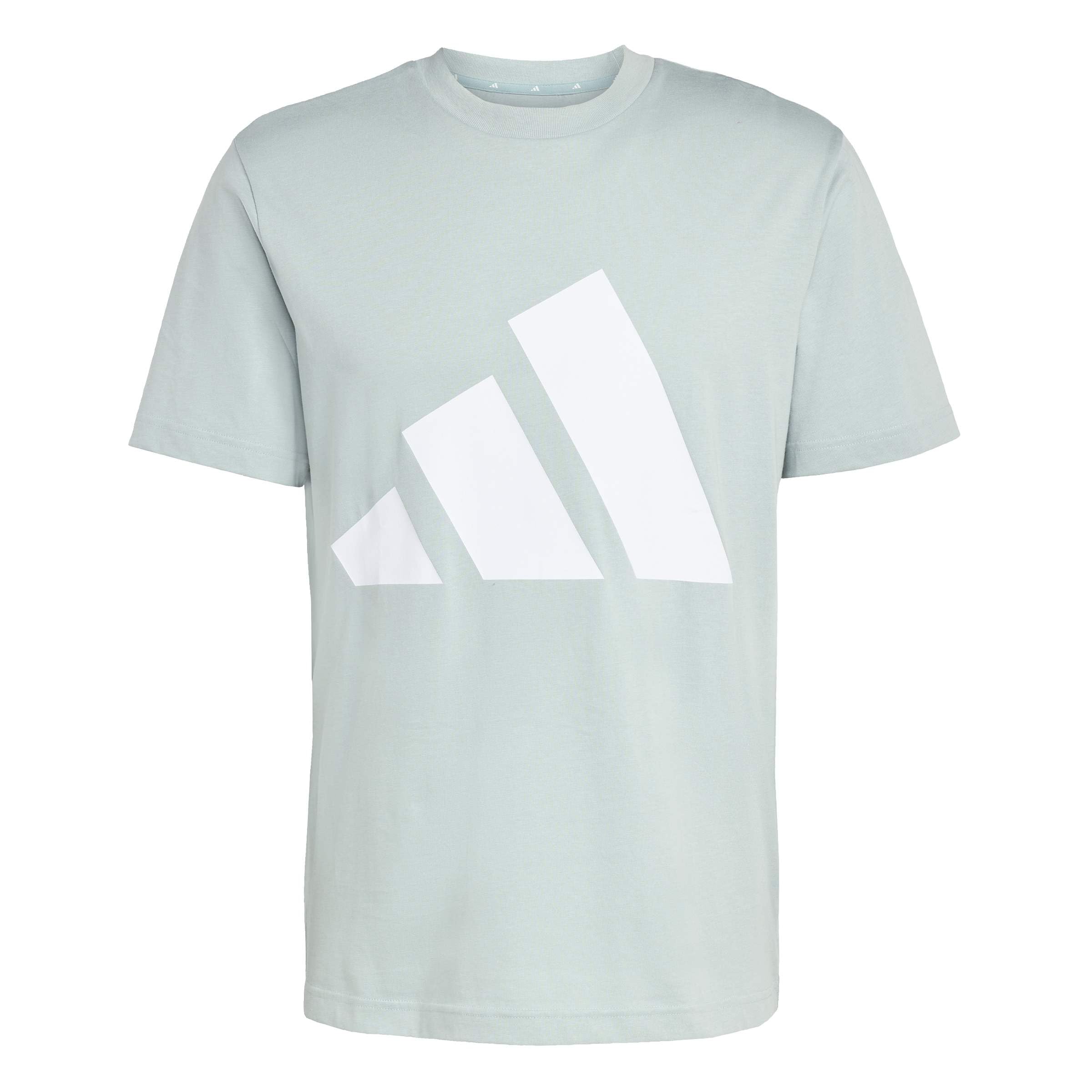adidas Men's Essentials Big Logo Single Jersey TEE, Wonder Sage/White, M