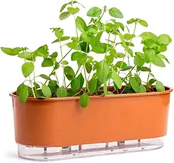 Vaso Jardineira Autoirrigável Preto 40cm Raiz Terrazo Para Todos Tipos de Plantas (Terracota)