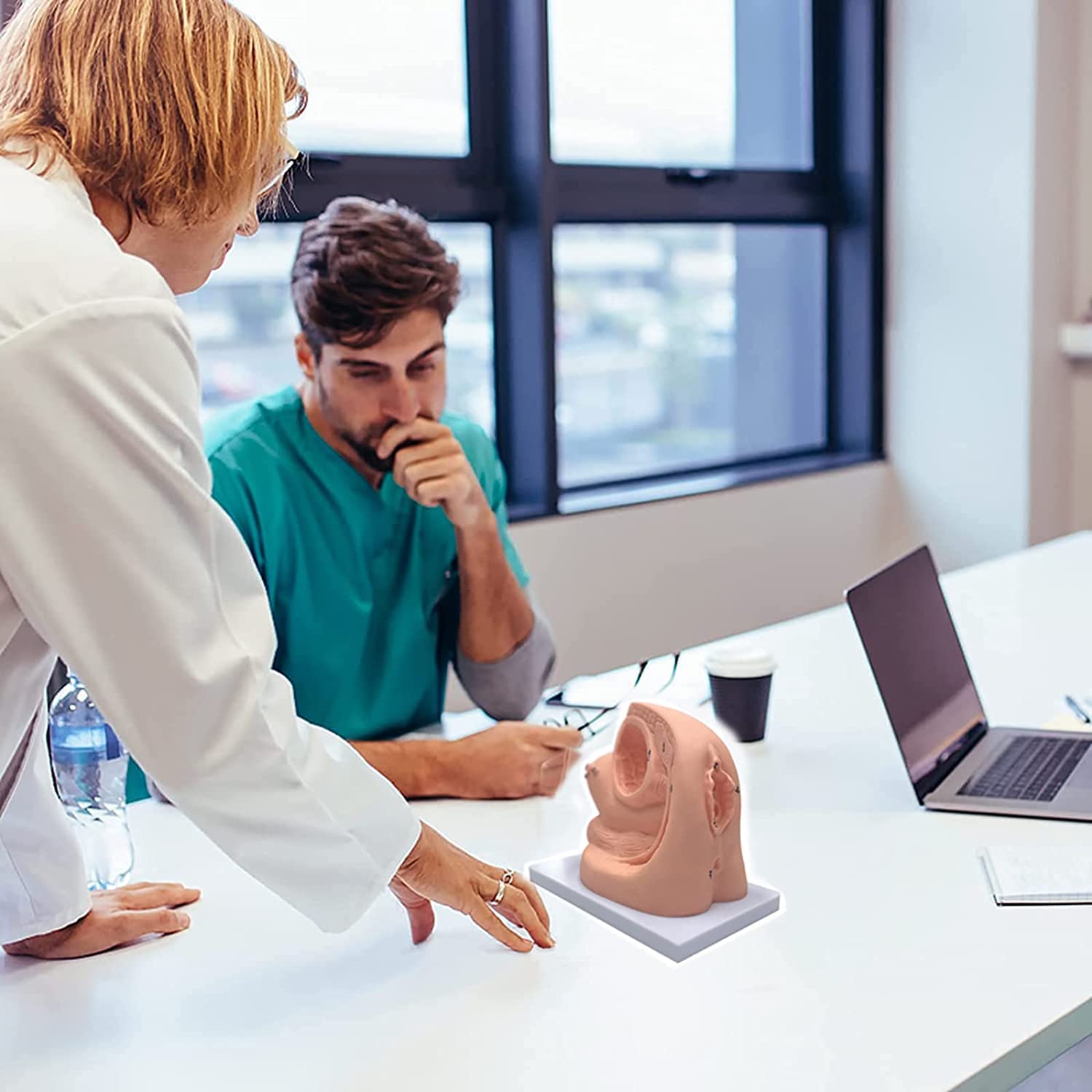 Modèle d'enseignement, modèle de cathétérisme modèle de cathétérisme Interne et Externe, modèle d'enseignement de Mannequin en PVC - pour l'aide à la Formation éducative médicale en gynécolo