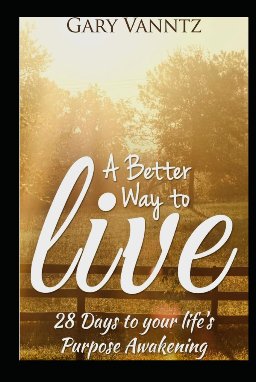 A BETTER WAY TO LIVE: 28 Days to your life's Purpose Awakening.