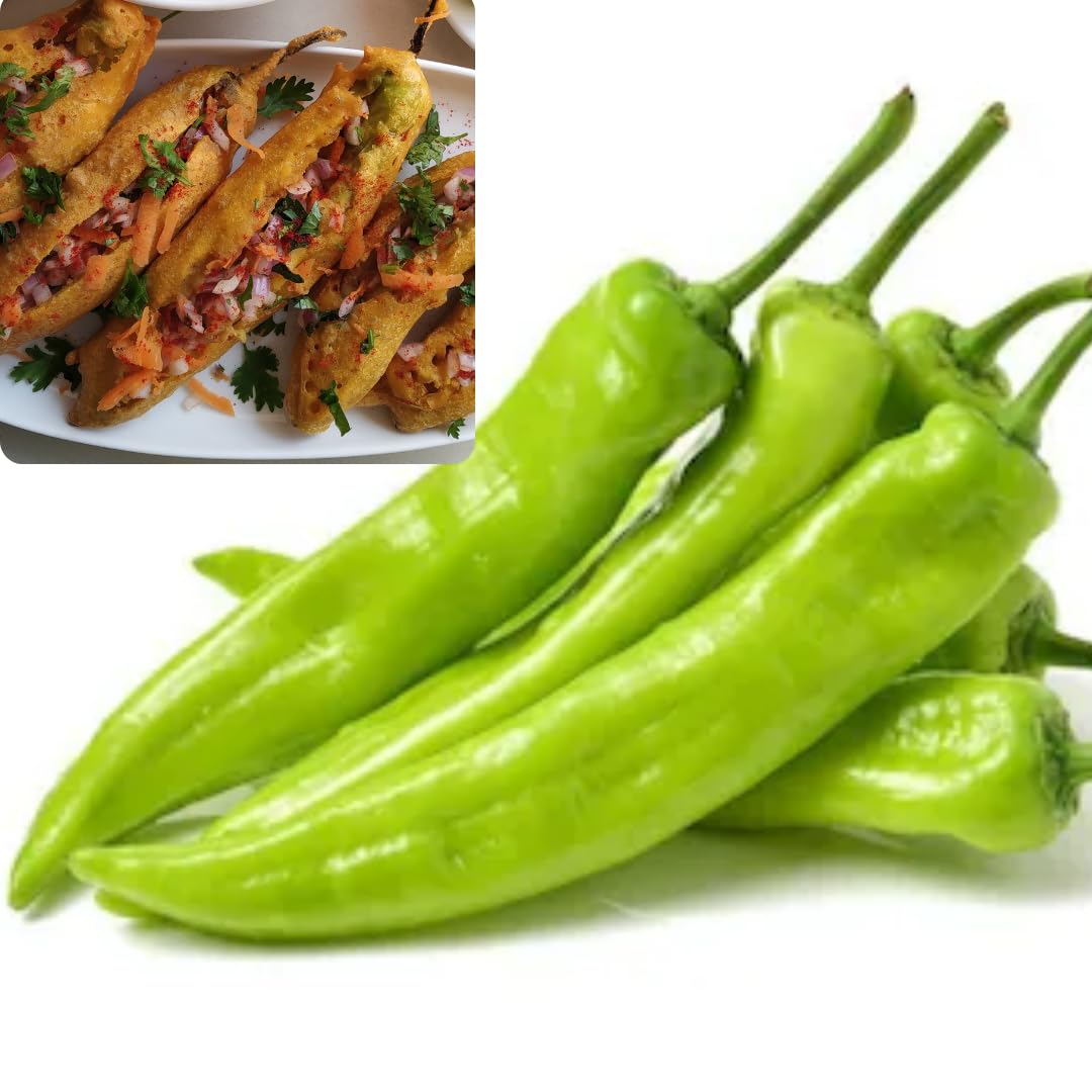 Seedbasket Bajji Mirchi Hybrid Seeds | Bajji Chilli Seeds For Home Gardening - 200 Seeds Packet (B0D8PYKV8Y) Amazon Price History, Amazon Price Tracker
