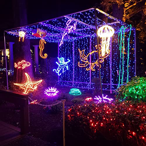 Shore Acres Holiday Lights