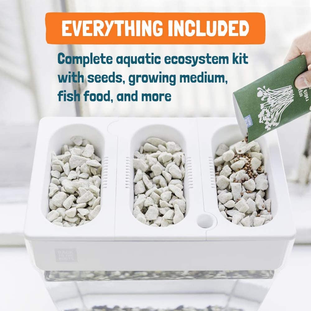 Buy Back to the Roots Indoor Garden Self Watering, MessFree Planter for Herbs, Microgreens