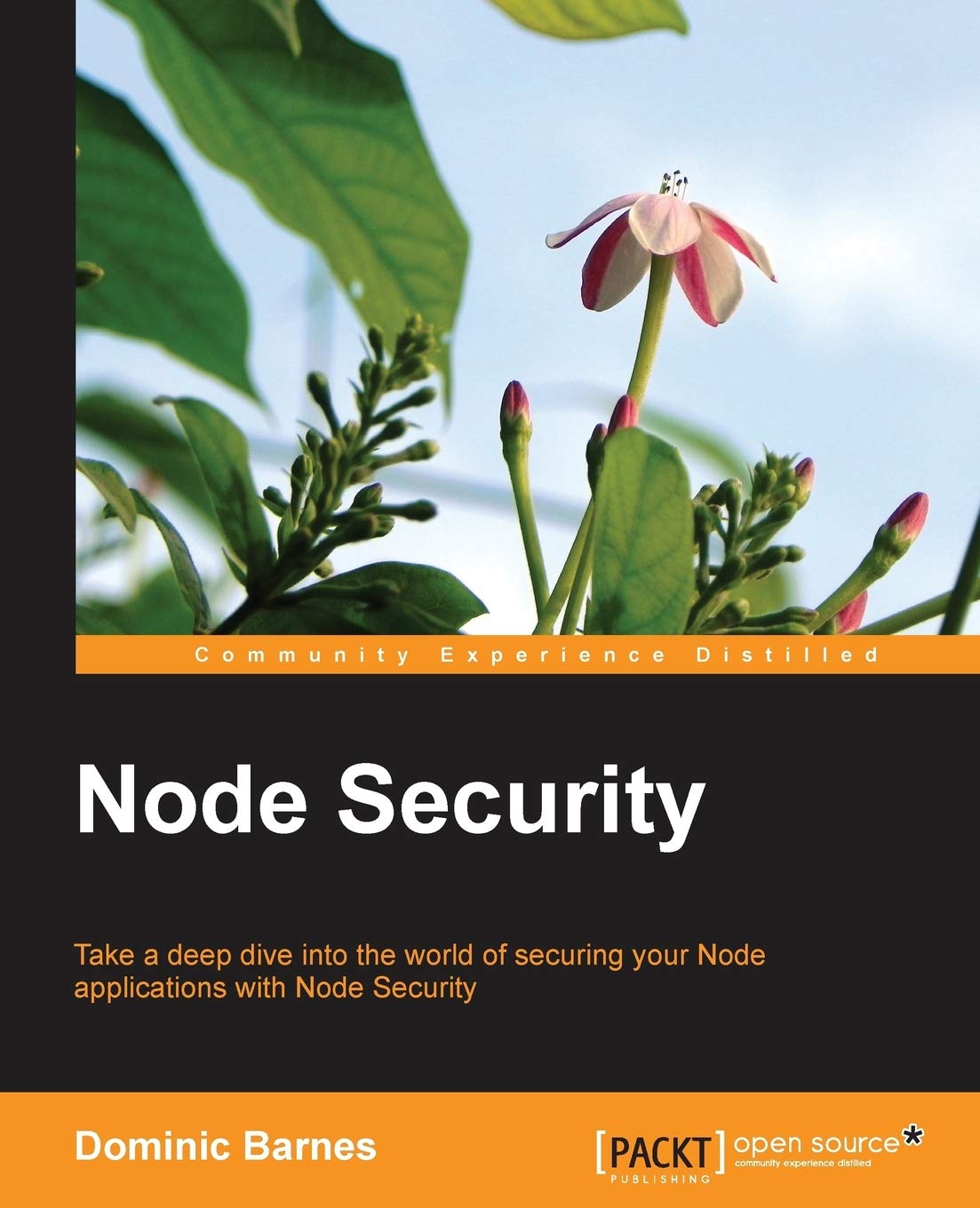 Node Security (English Edition): Take a Deep Dive into the World of Securing Your Node Applications With Node Security