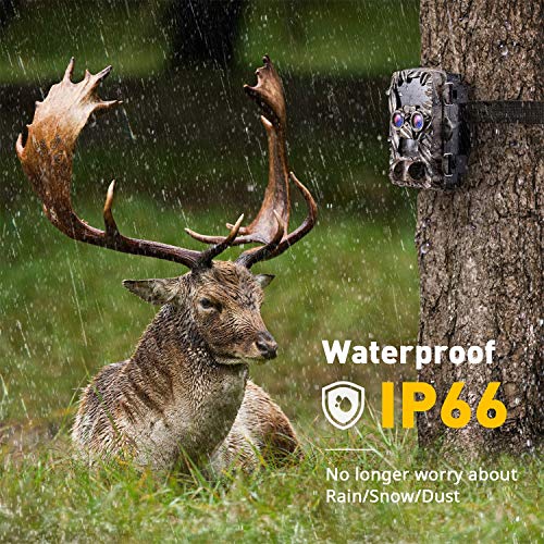 Trail Camera - Game Camera Dual-Lens Night Vision Motion Activated 4K 20MP Hunting Cam Waterproof IP66 W/ 2.4" Color Screen 0.2 s Trigger Speed for Outdoor Wildlife Monitoring Deer Scouting