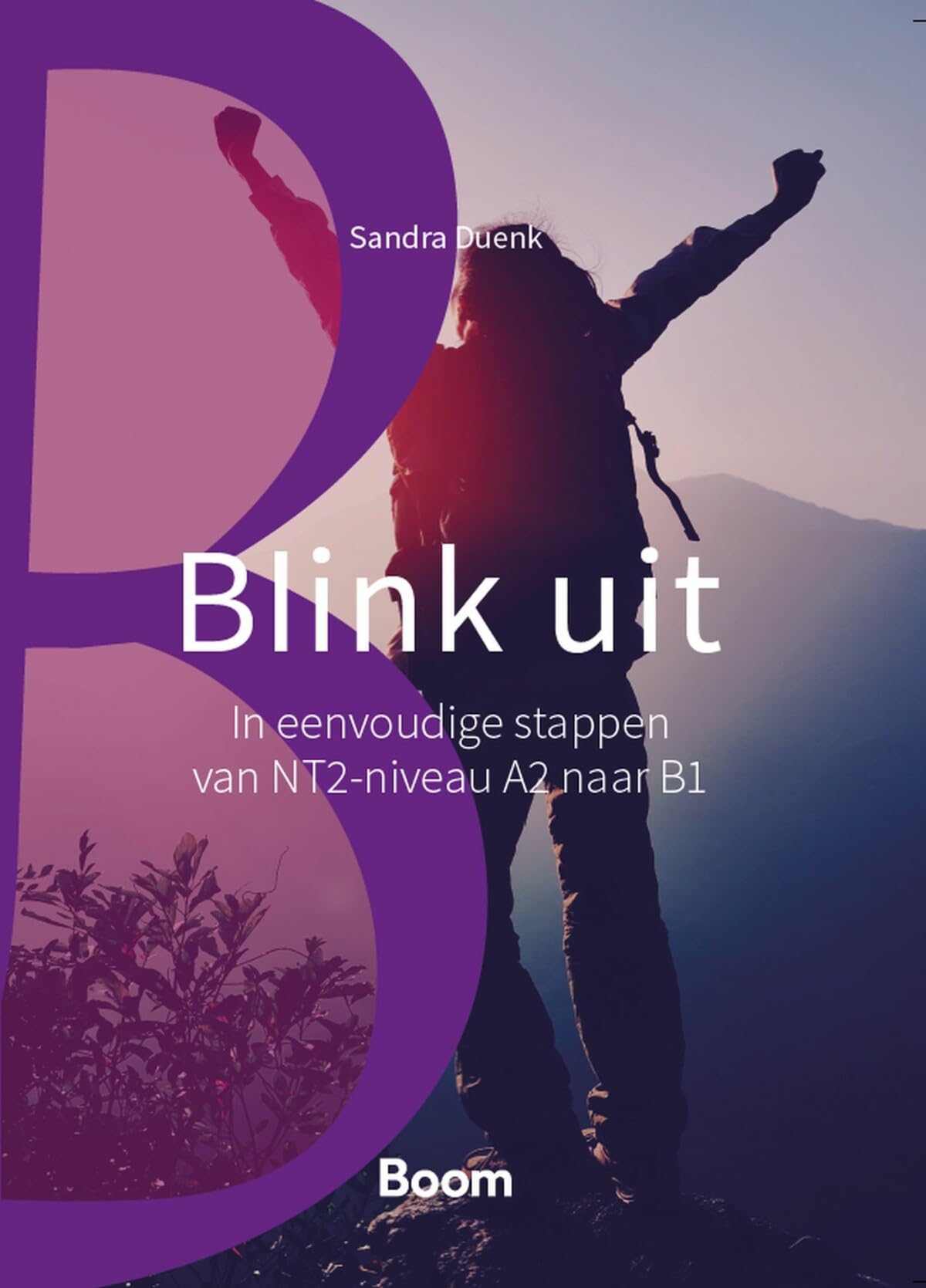 Blink uit: in eenvoudige stappen van NT2-niveau A2 naar B1