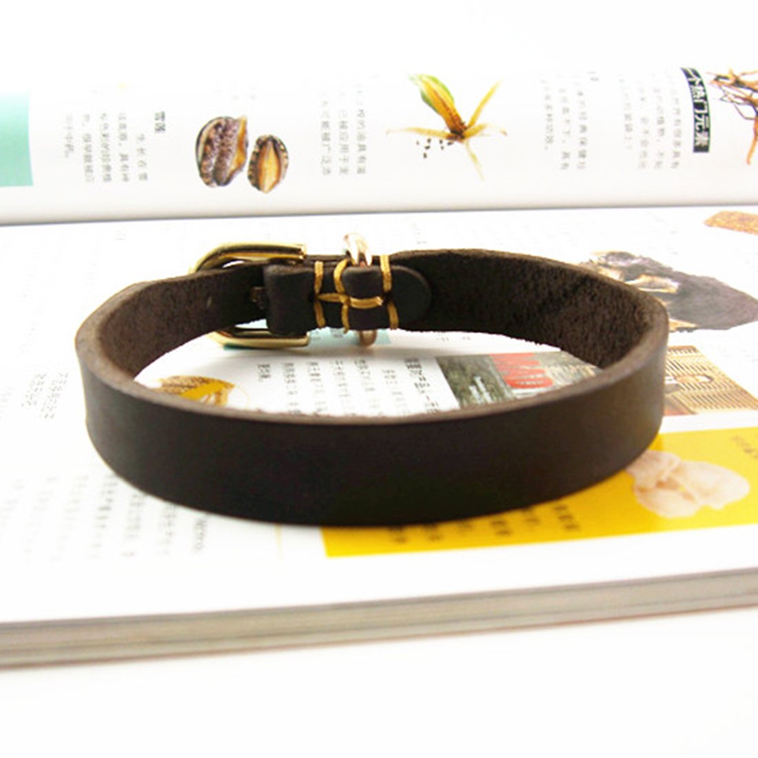 1.6M Hundeleine und Halsband Echtleder Hundführleine Haustier Schleppleine Lederleine mit Hundehalsband Halskette Martingal Dog Collar Halsbandleine für Welpen Klein Mittlere Hunde (Geflochten, XS)