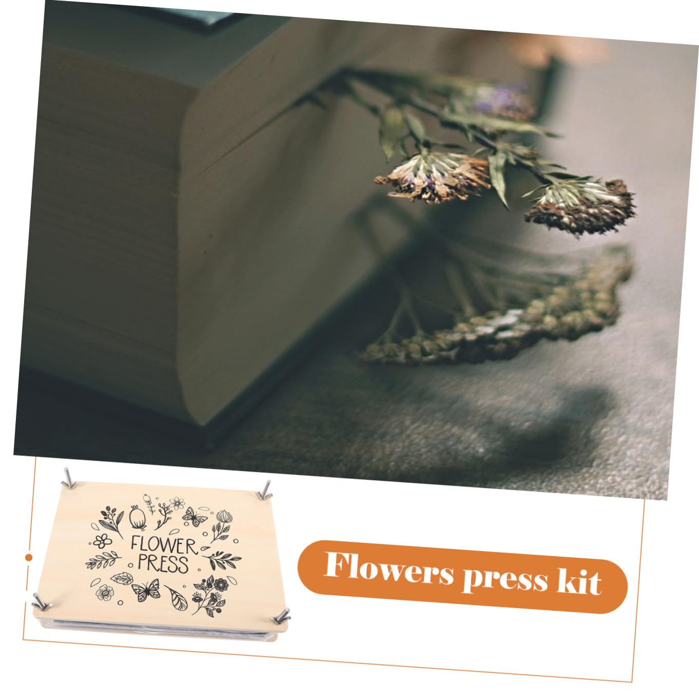 PRETYZOOM Kit de Prensa de Plantas y Flores Grande Profesional con Placas Reutilizables Herramientas DIY para Especímenes Manualidades y Decoración para Familia y Regalo Creativo