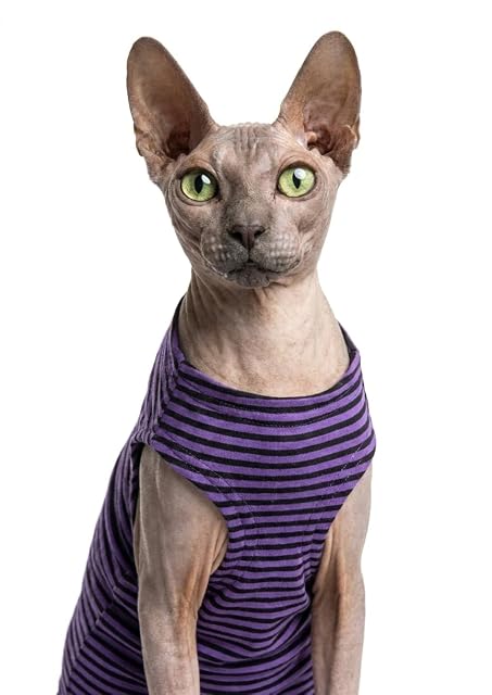 Foto 3 de 5 de Kotomoda Gato desgaste Tanque Púrpura - Rayas Negras (XL)