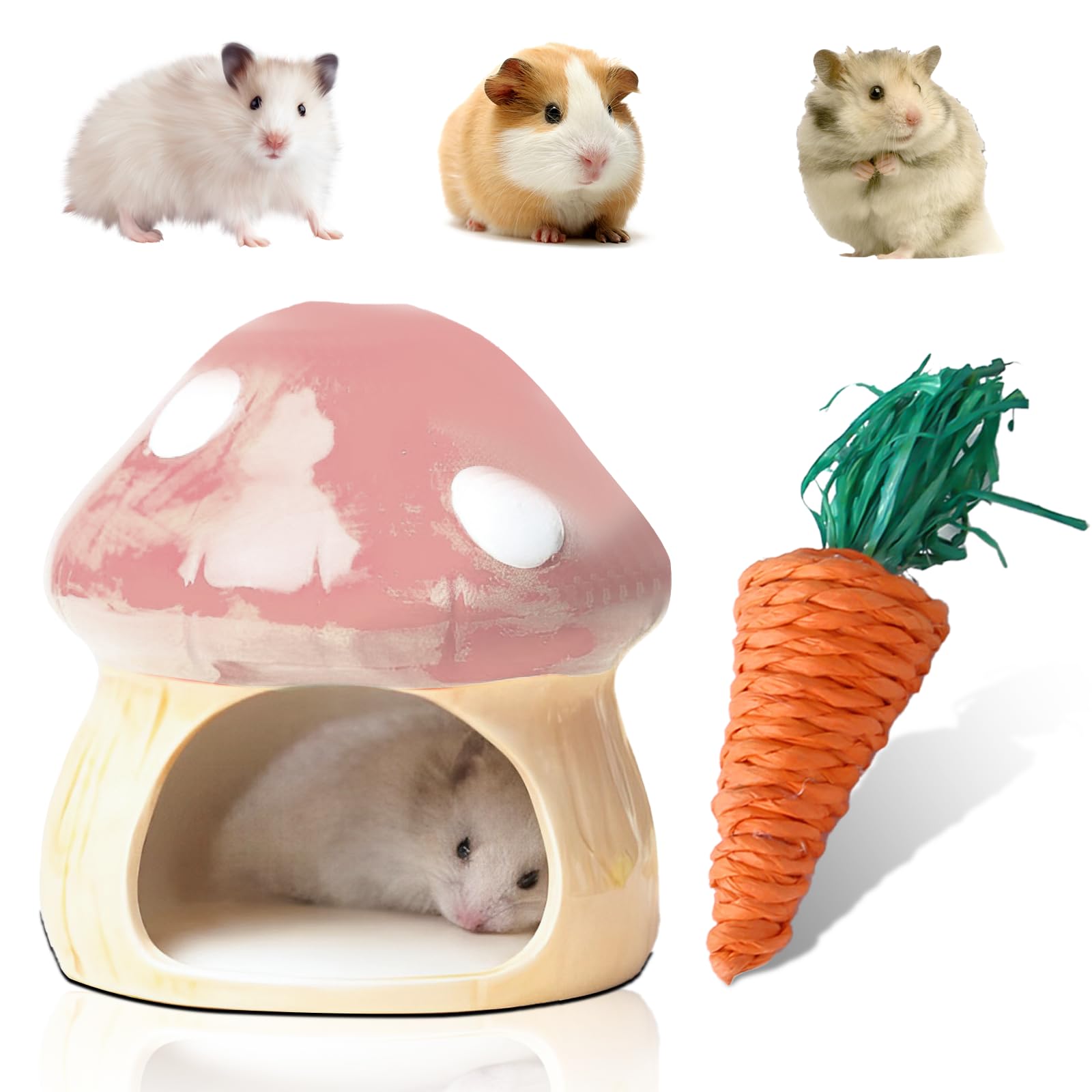 Nizirioo Casa de hámster única de cerámica: escondite duradero para hámster, casa de hámster y juguete dental, túnel en forma de seta, grandes entradas para jerbos, ratones, chinchillas para hámster