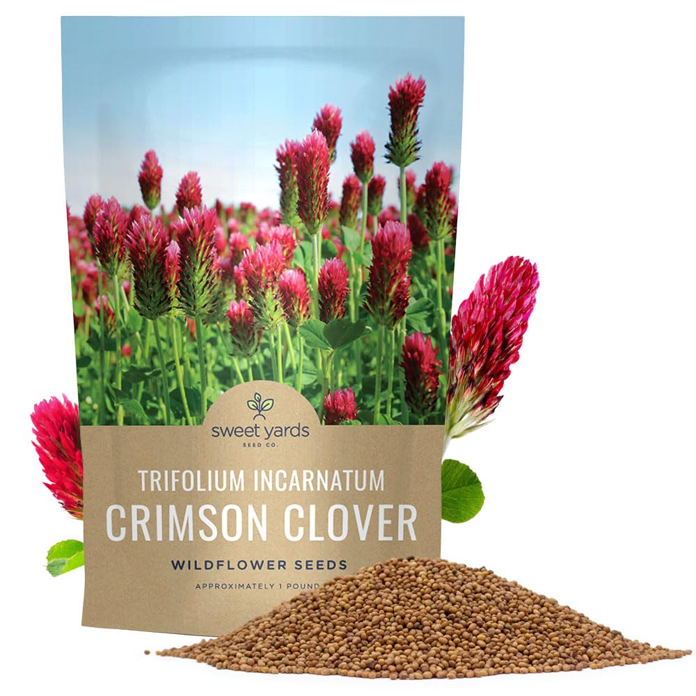 Sweet Yards Crimson Clover Seeds