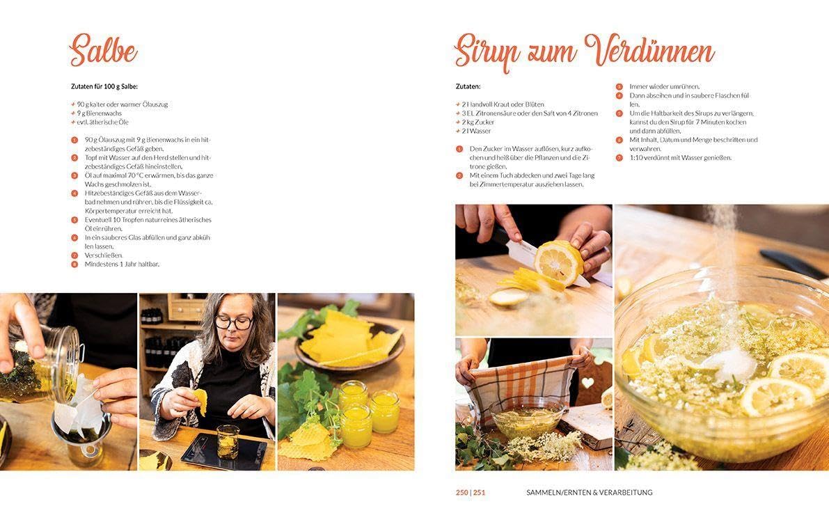 Heilkräuter aus den Alpen: Die Naturapotheke für Wohlbefinden und Genuss. Mit vielen Rezepten für Speisen, Getränke, Salben und Einreibungen