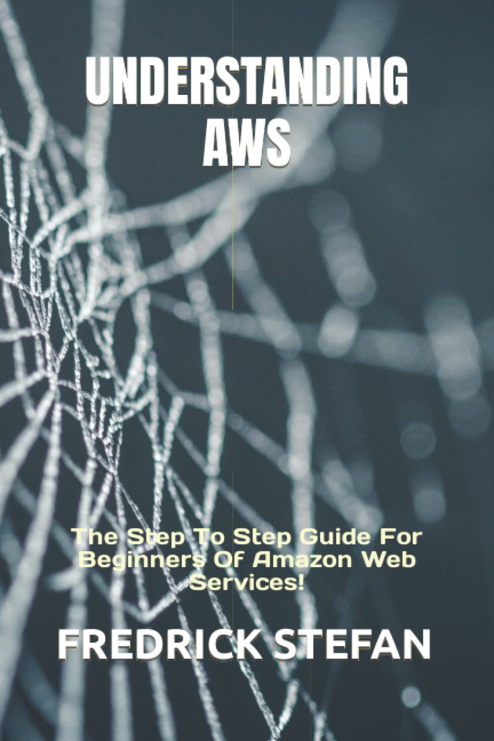 UNDERSTANDING AWS: The Step To Step Guide For Beginners Of Amazon Web Services!