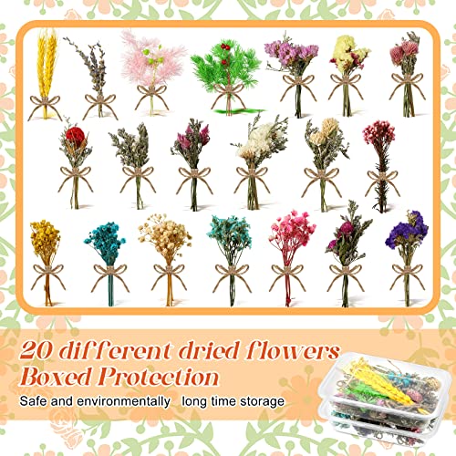 Mini ramos secos flores naturales Gypsophila 20 pcs miniatura 3