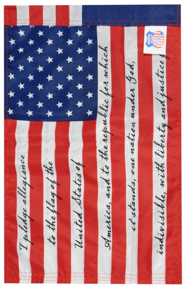 Allegiance Flag Supply American Flag | American-Sourced Nylon Fabric, Embroidered Stars, Hand-Stitched | Proudly Made In USA (4' X 6 - Foto 6