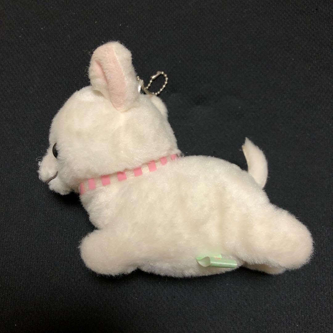 Amazon.co.jp: むちむチワワ リラックス むっちー LMCサイズ