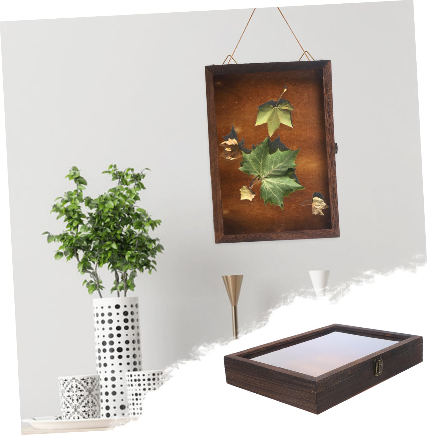 昭和６３年当時物徳島県採取蝶々ガラス木製枠横幅５０X縦４２X厚さ６センチ標本品 昭和63年当時物徳島県採取蝶々ガラス木製枠横幅50X縦42X厚