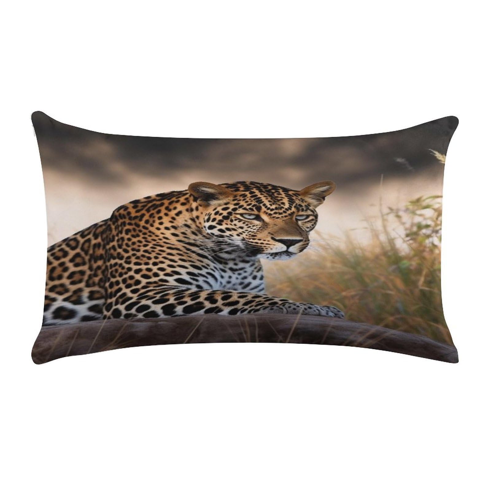 VstaDank African Animal Leopard Throw Pillow Covers Rectangular Cushion Case Short Plush Pillowcase with Zipper Luxury Cozy Lumbar Pillows Shells Decorative Pillow Shams 12 X 20 Inch