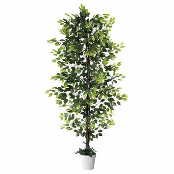 61-754-95-1_8724-4730 Fake Green Benjamin Green 82.7 inches 210 cm, 1 Piece