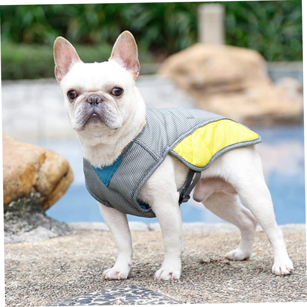 SUPVOX 3pièces Gilet Rafraîchissant pour Chien Veste Reflechissante Été s Gilet De Refroidissement Respirant pour Animaux De Compagnie