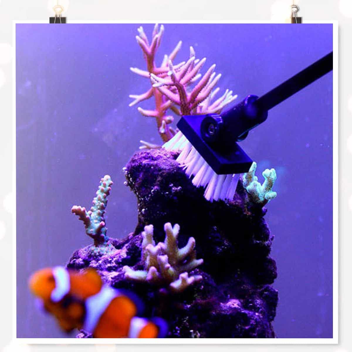 Aquarium Reinigungsbürste Glas Fischbecken Reinigung - Bürste aus Aluminiumlegierung, DREI Längen 33/48/64cm Verstellbarer, Einstellbarer Fester Bürstenwinkel, Geeignet für Süß- /Meerwasser