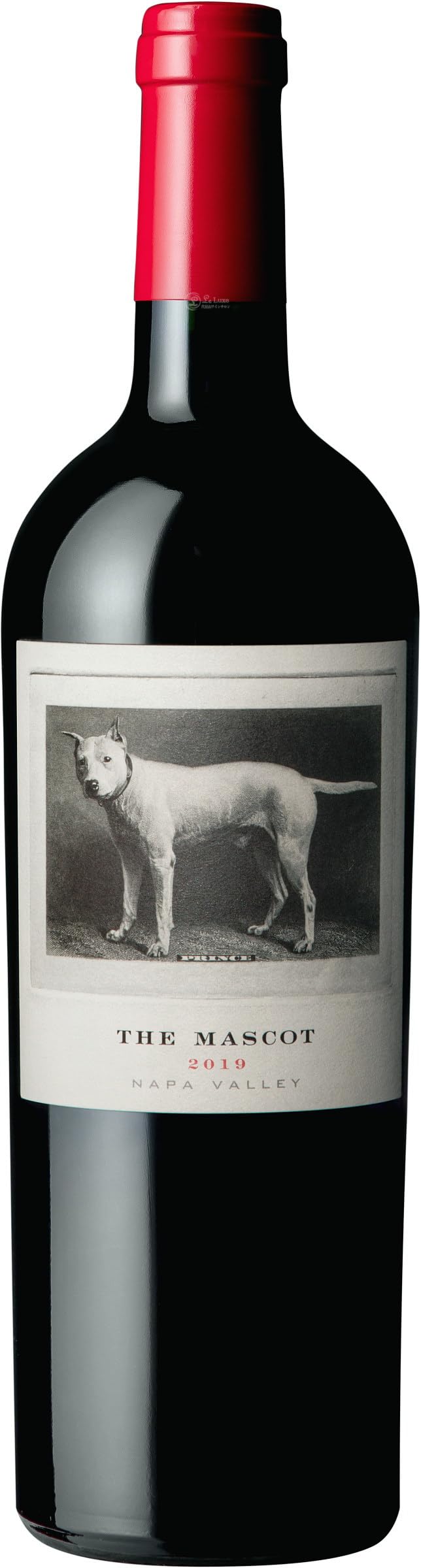 THE MASCOT Napa Valley 赤ワイン Amazon.co.jp: 2021 レッド ワイン ナパ ヴァレー ザ マスコット