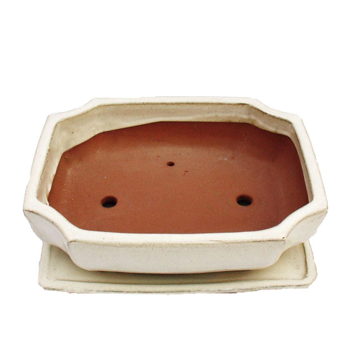Bonsai Bol avec sous assiette Taille 5 – Beige clair – Carré – Modèle G117 – L 31 cm – B 24 cm – H 9 cm