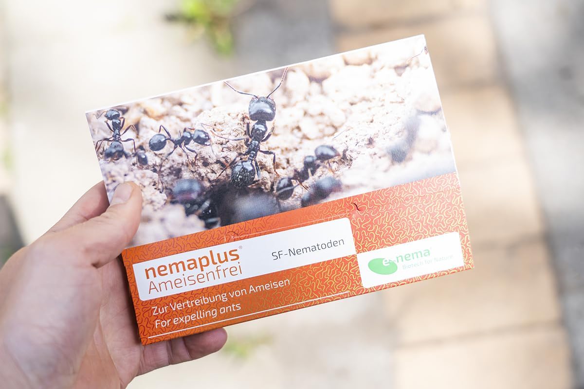 Ameisenfrei SF Nematoden zur Bekämpfung von Ameisen - 50 Mio. für 50m² oder 50 Ameisennester