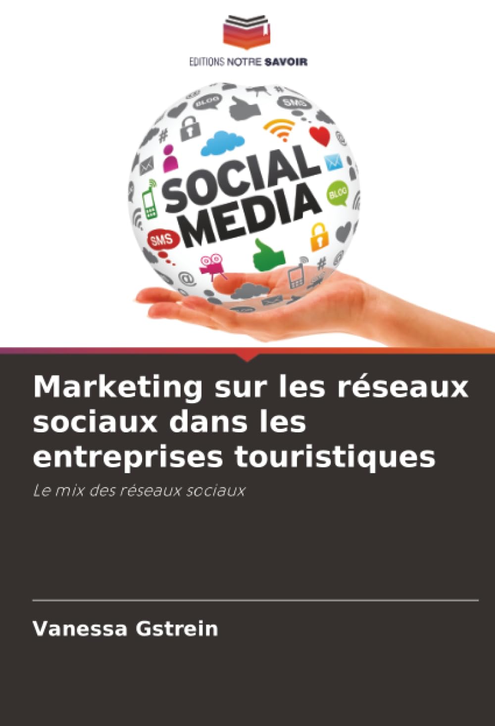 Marketing sur les réseaux sociaux dans les entreprises touristiques: Le mix des réseaux sociaux
