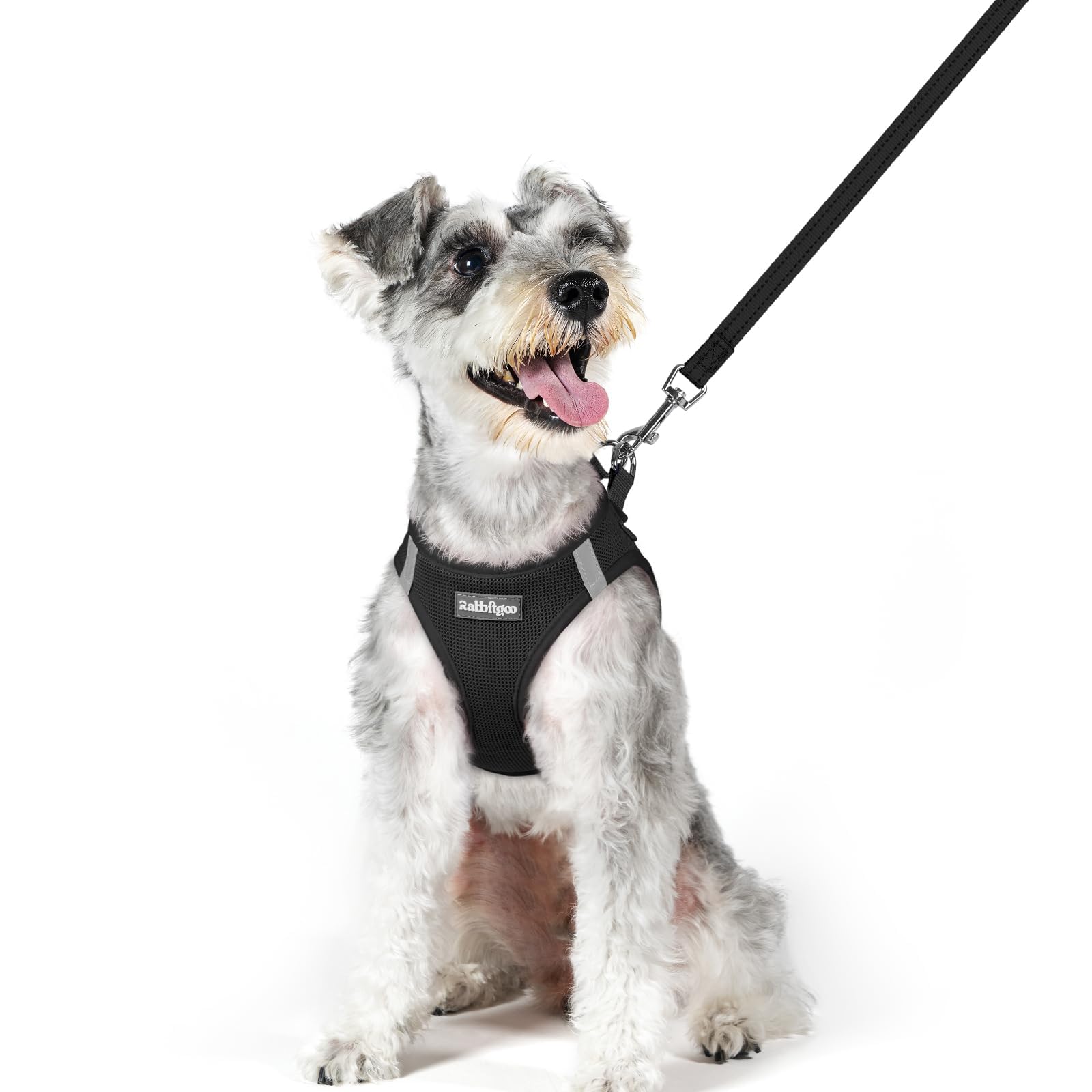 rabbitgoo Dog Harness Medium Sized and Leash Set, Step-in Puppy Pet Vest