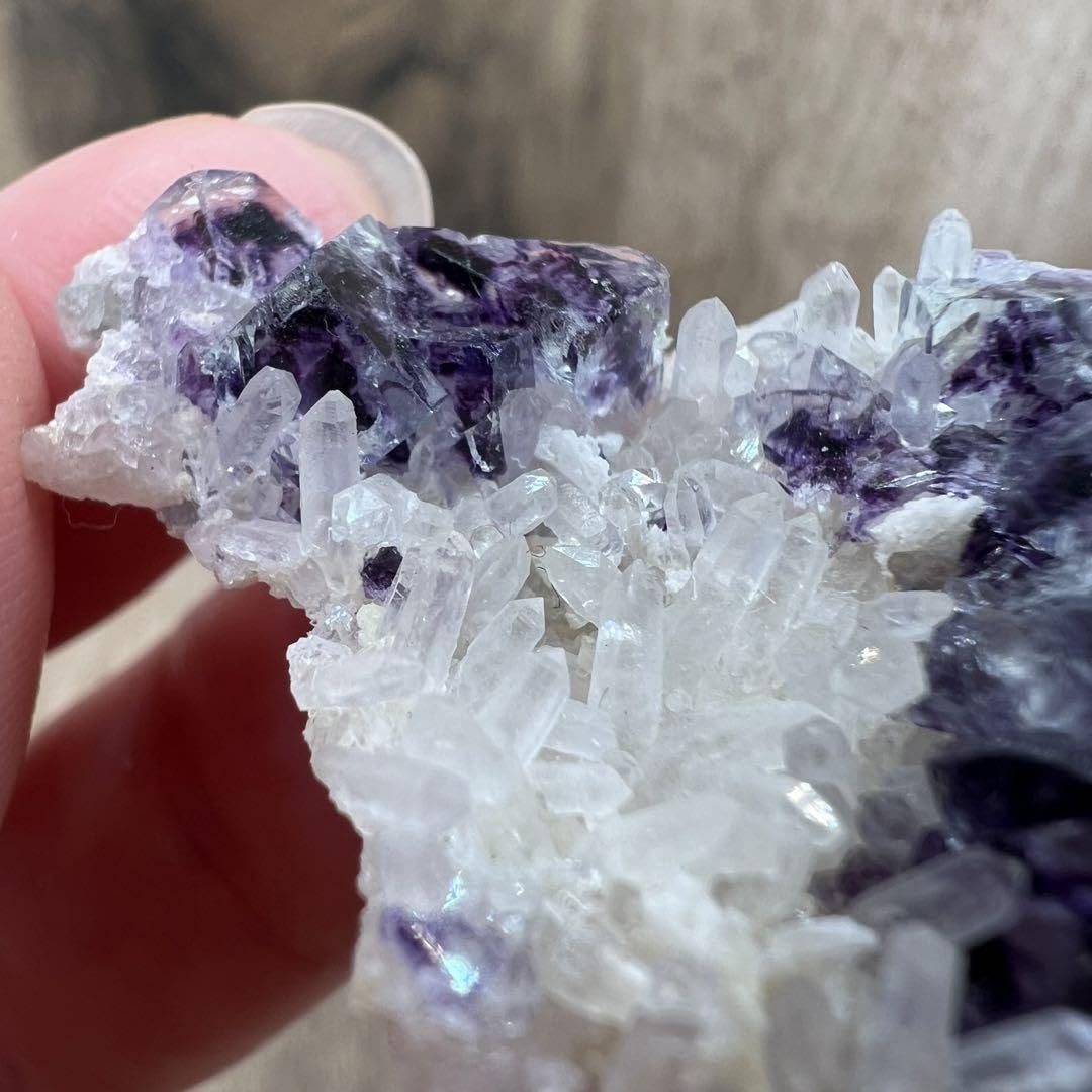 Amazon | フローライト 水晶 M1 共生 鉱物 標本 原石 | 岩石・鉱物