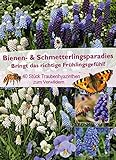 Der Mix verschiedenen Sorten von Traubenhyazinthen ist besonders attraktiv für Schmetterlinge und Bienen