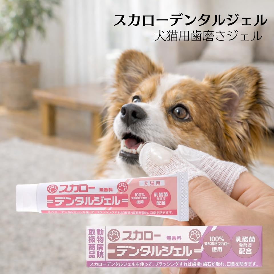 Amazon.co.jp: スカローデンタルジェル 犬猫用 無香料 歯磨きジェル 歯