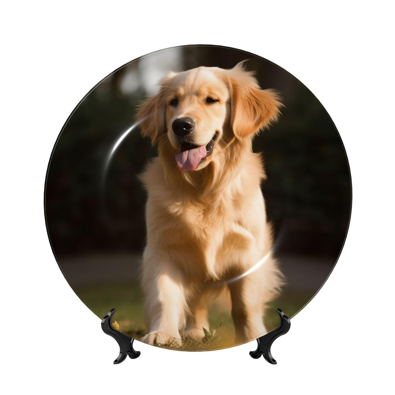 QMNKLET 8in Bone China Decorative Plate, Golden Retriever Dog Ceramic Dinner Plates with Display Stand, Ceramic Ornaments Art Porcelain Plate for Home Office Wall Decor Collections Plates
