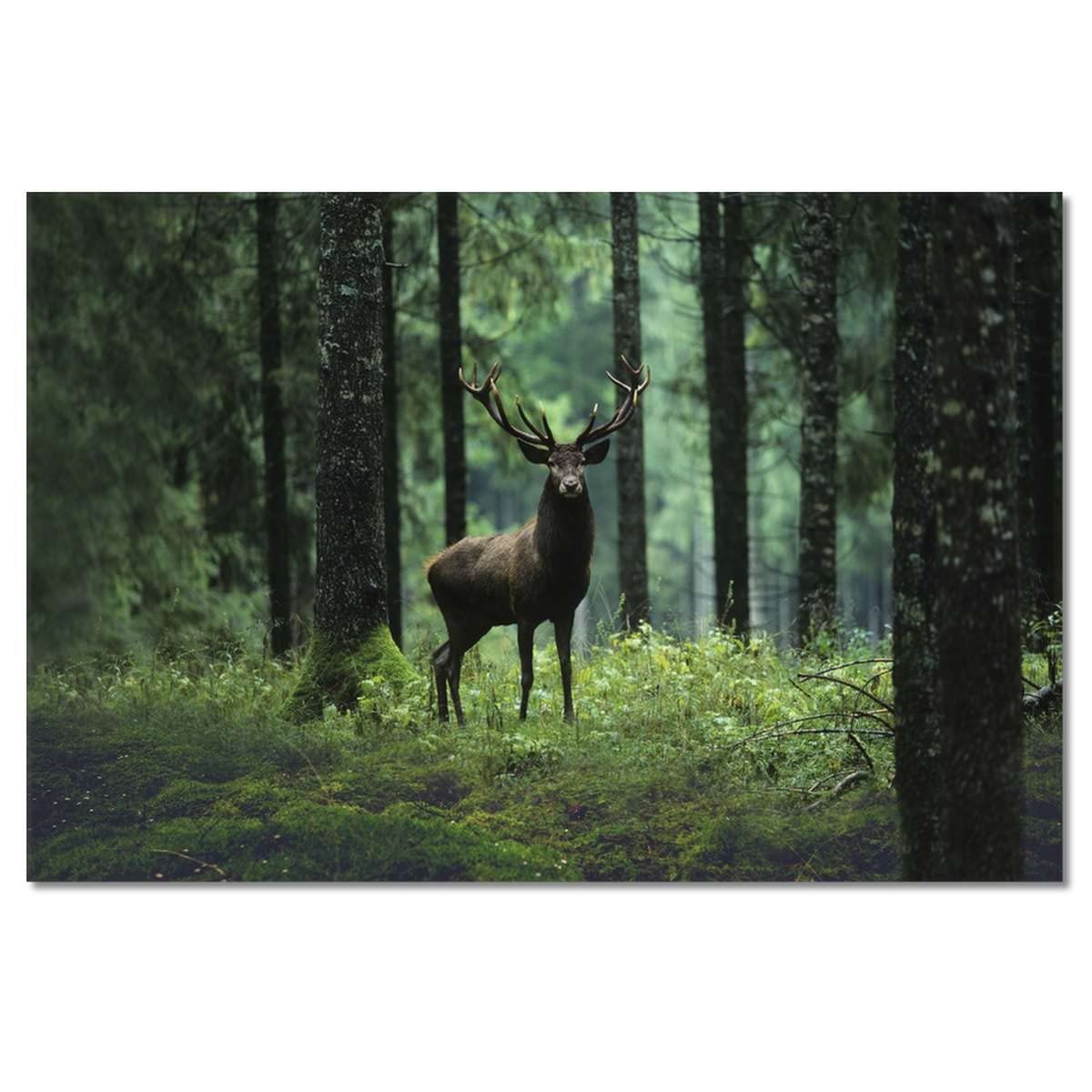 Pittura stampata su tela Wall Art Decor 90x60cm Cervo cervo foresta paesaggio n. H3898M_PC1L
