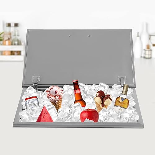 PanDair - Hielera de 50 L100 L, enfriador de hielo de acero inoxidable con cubierta con bisagras, cofres de hielo para interiores y exteriores,