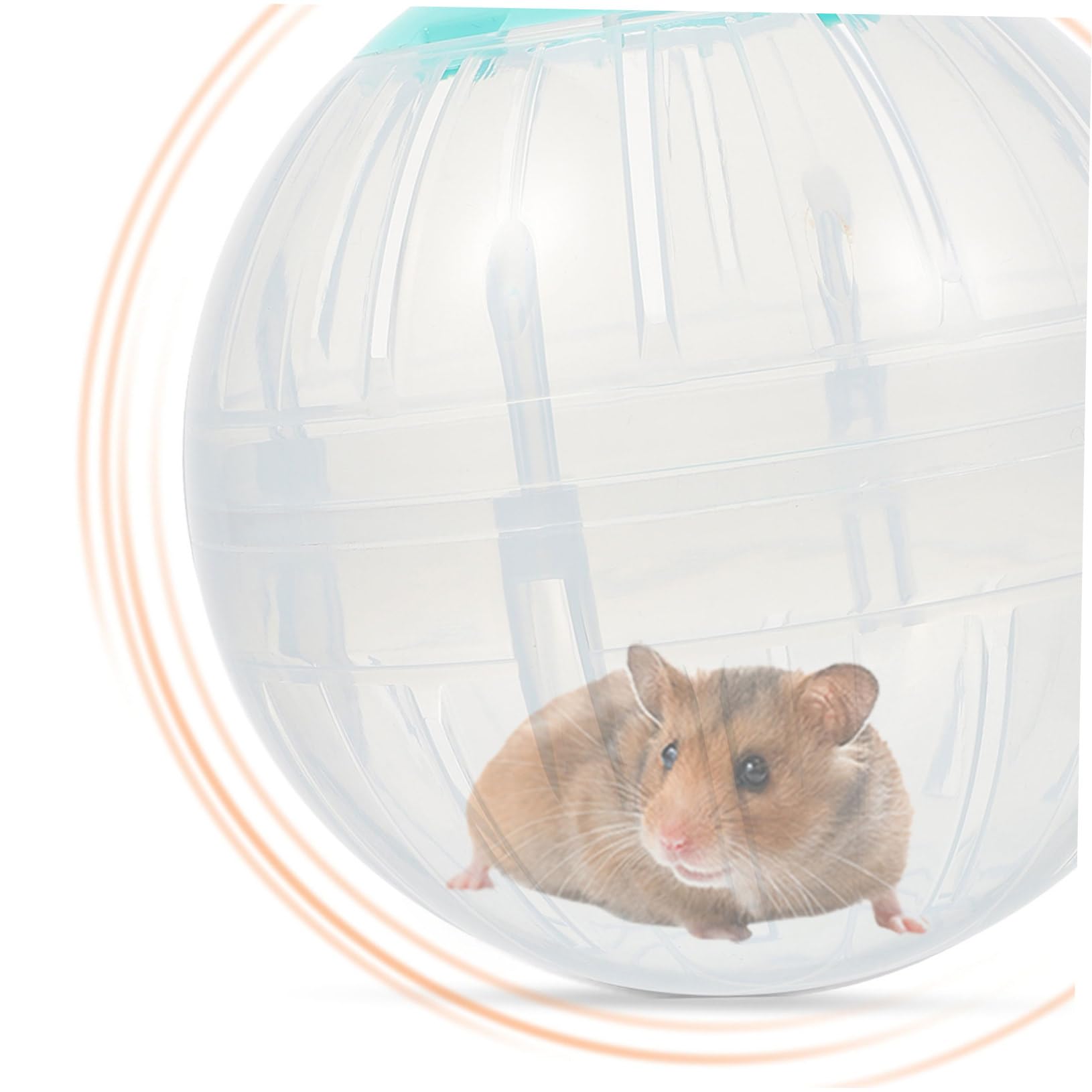 ORFOFE 4stücke Hamster Exercise Transparente Laufkugeln Für Aktive Haustiere Langlebige Spielzeuge Für Hamster Und Kleine Tiere Für Indoor-Training Und Fitness