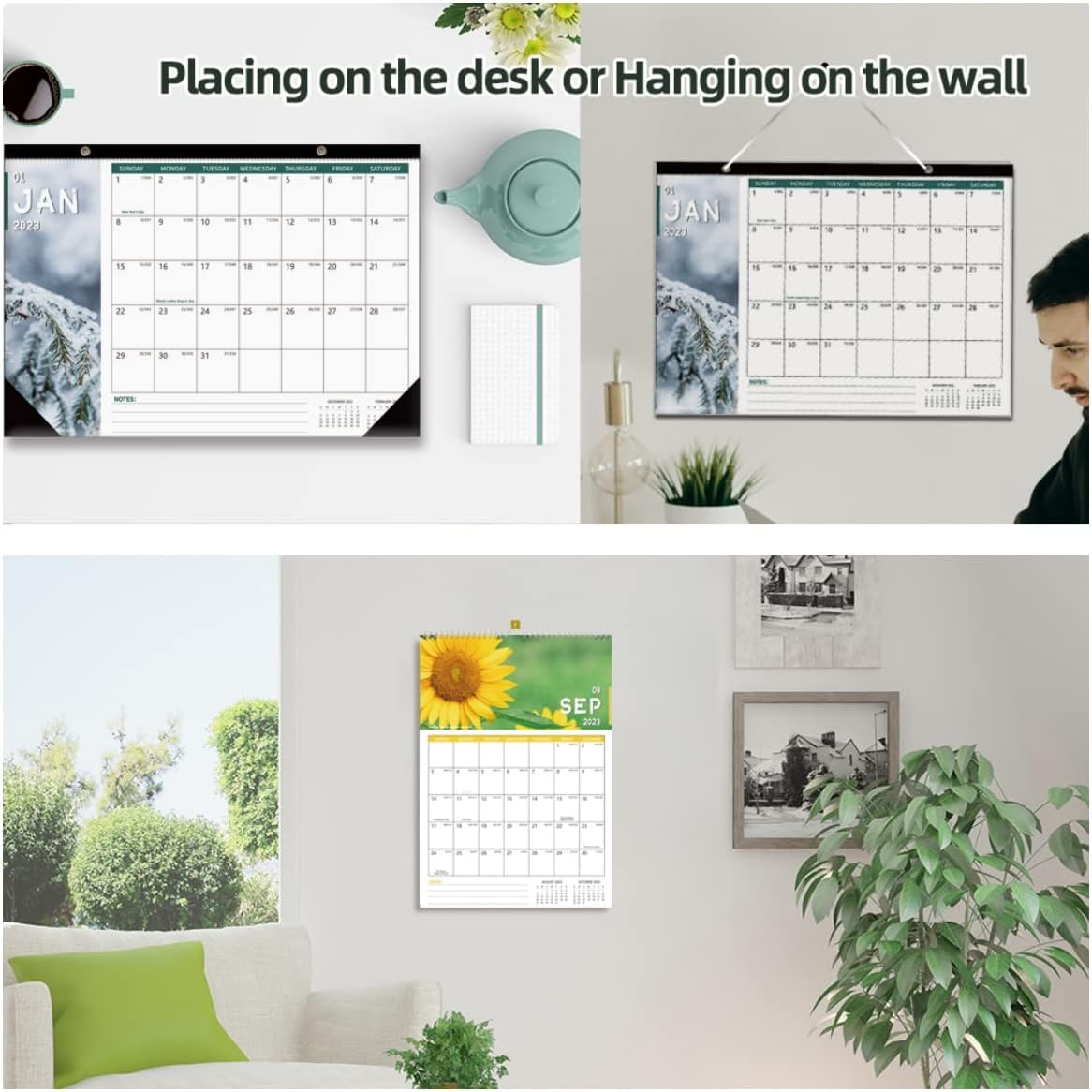 Pack of Desk Calendar Wall Calendar, Unique Monthly Calendar for Easy Planning