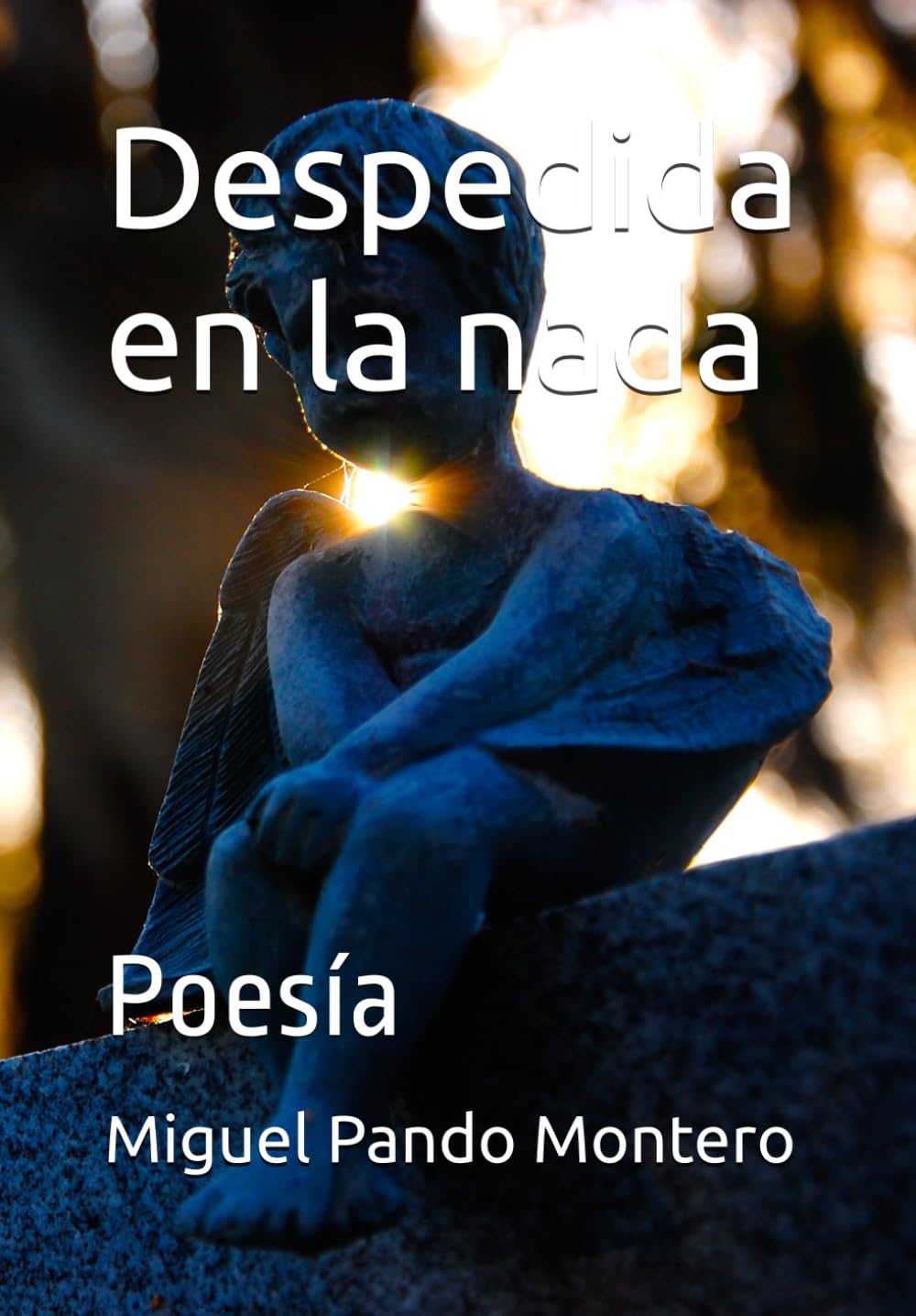 Despedida en la nada: Poesía