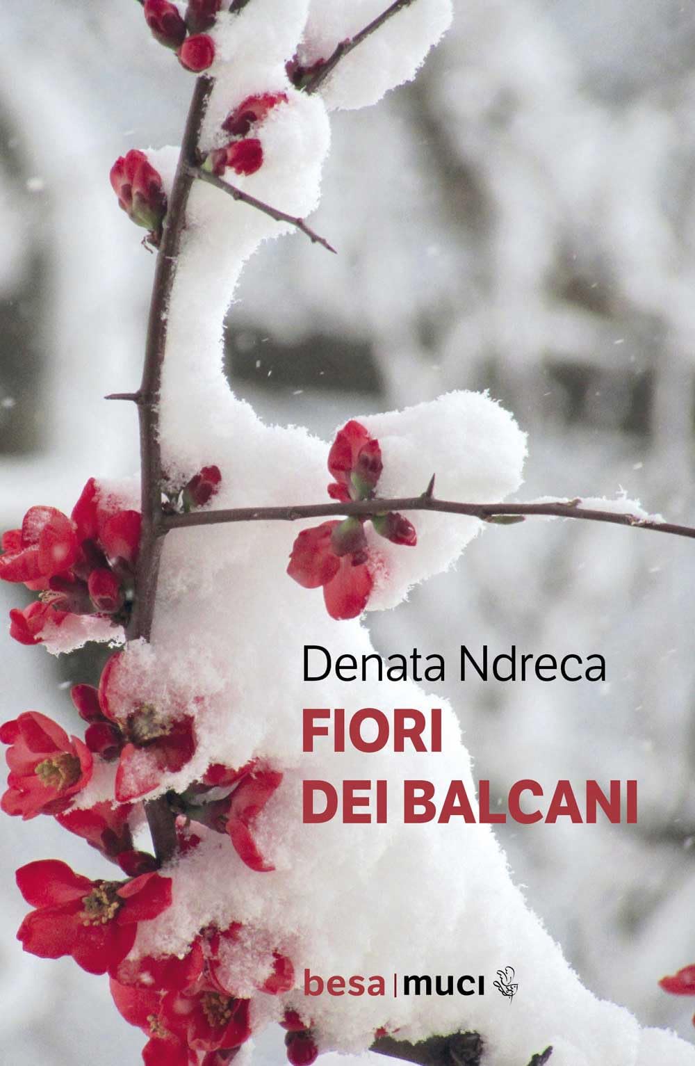 Fiori Dei Balcani - 4