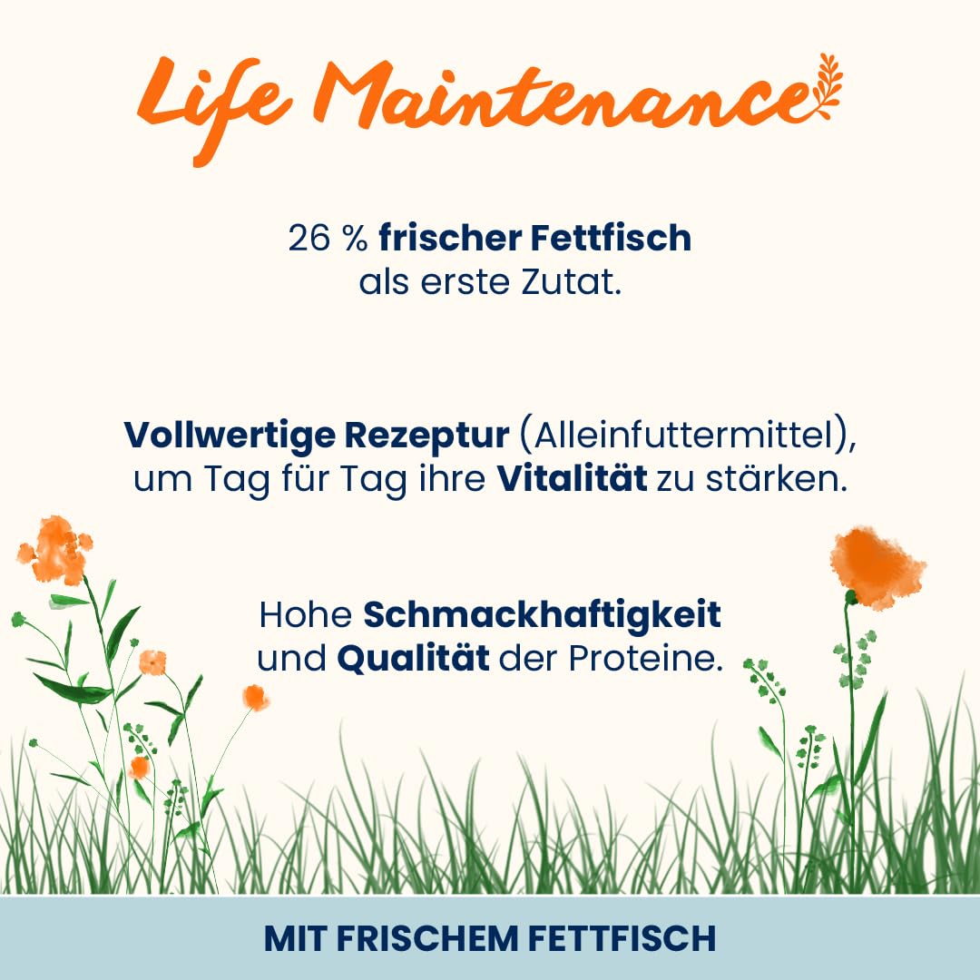 Almo Nature Holistic Adult Cat Maintenance ze świeżą rybą i ryżem – sucha karma dla kotów wszystkich ras, 12 kg