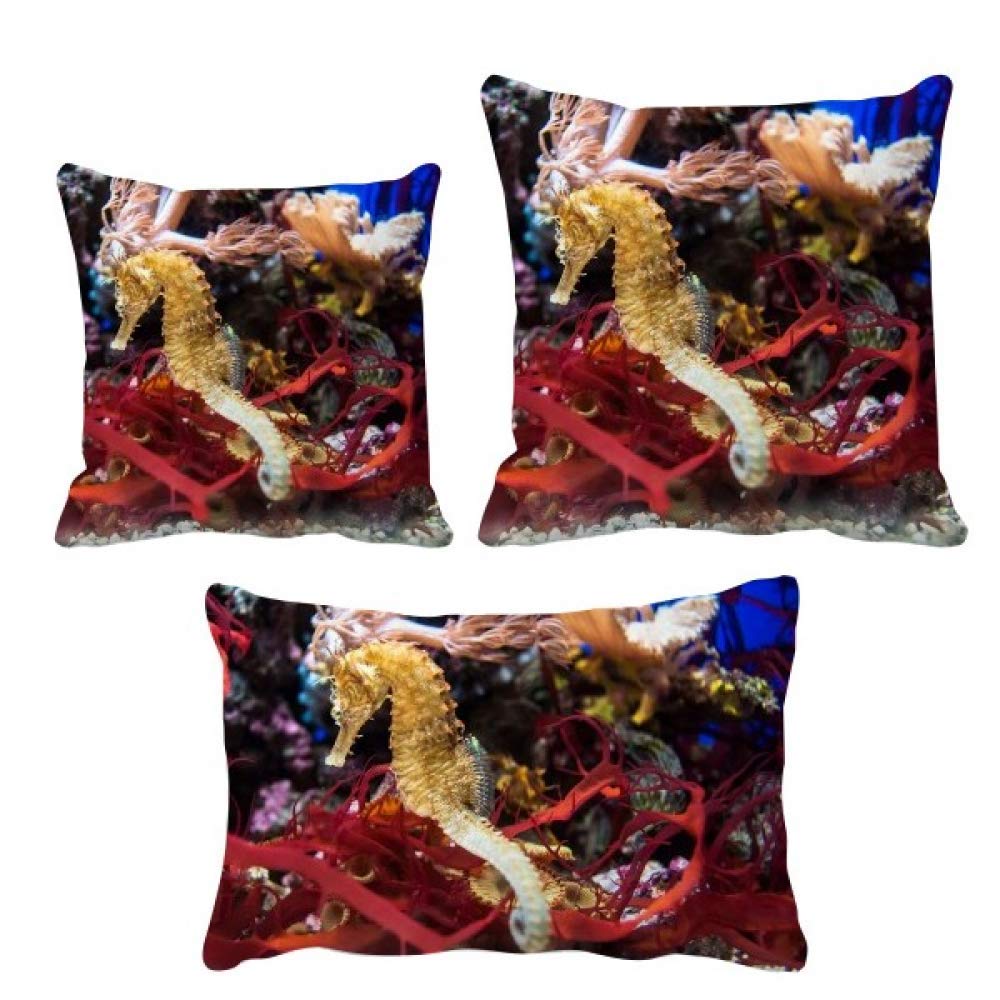 Housse de coussin bleu hippocampe en tissu lavable pour canapé marin