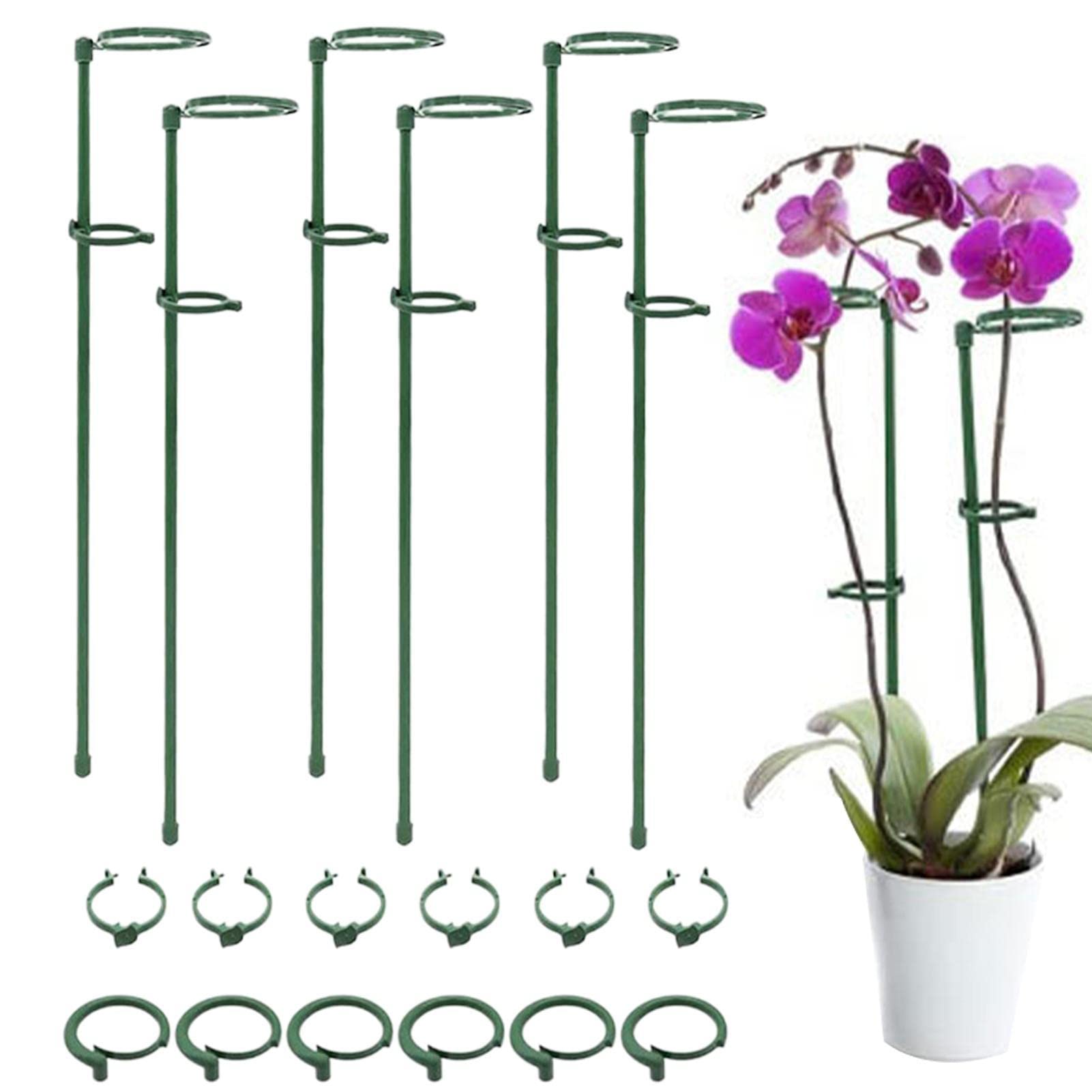 Flowlamp Lot De 6 Cages à Tomates Piquets Déformables 122 Cm - Supports Plantes Grimpantes Multifonctions Pour Tomates, Concombres, Haricots